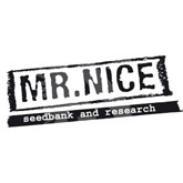Mr Nice
