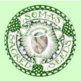 Soma Seeds