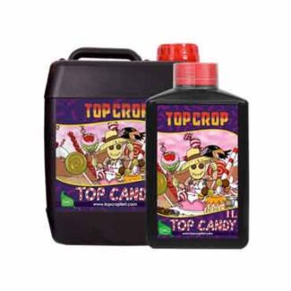 Top Candy Top Crop