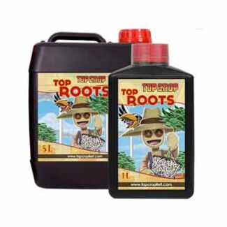 Top Roots