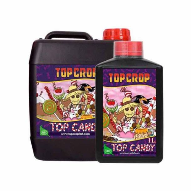 Top Candy