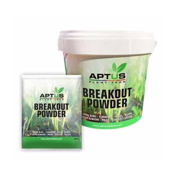 BreakOut Powder