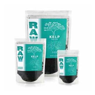 Kelp Raw