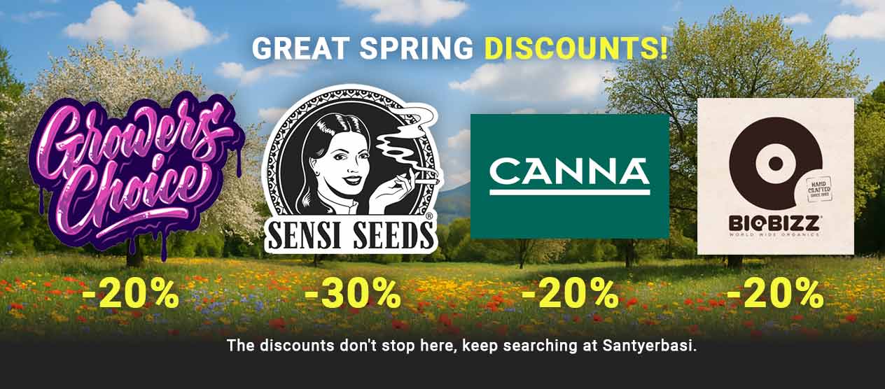spring discounts