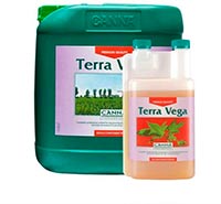 terra vega