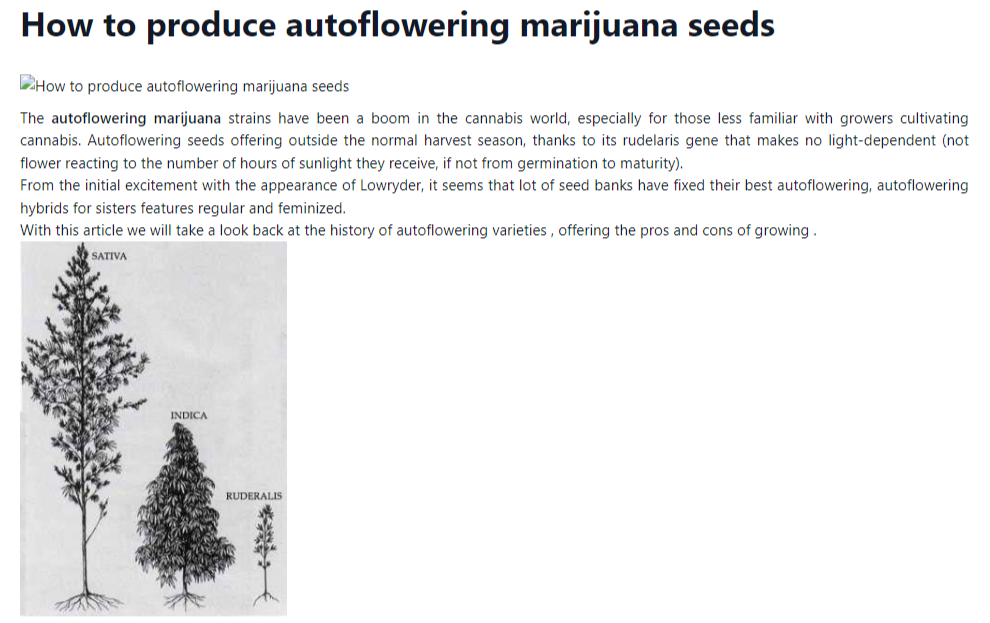 how to produce marijuana seeds