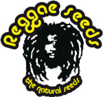 Reggae Seeds cannabis genetics