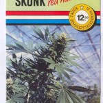 Skunk strain origin and history