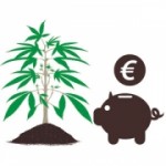Comment économiser de l'argent: auto-culture Vs Acheter cannabis