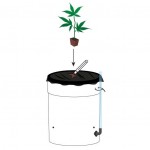 Conteneur SIP - Arrosage par irrigation