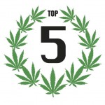 TOP 5 Semillas de marihuana recomendadas SantYerbasi