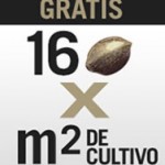 Consigue 64 semillas gratis por la compra de un kit de cultivo