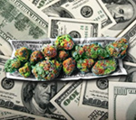 Compradores reaccionan a los altos precios de marihuana legal