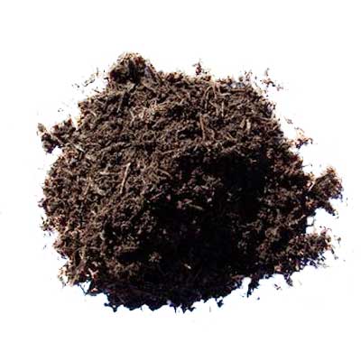 Turba un sustrato ideal para el cultivo de marihuana Turba sustrato para cannabis